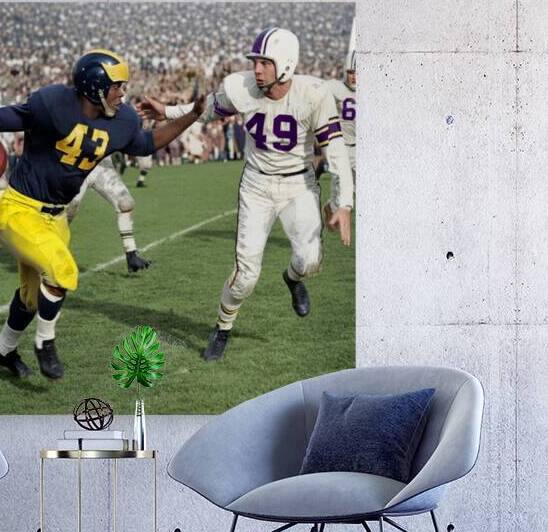 Michigan Wolverines Football Star Jim Pace | Row One Brand by Row One Brand