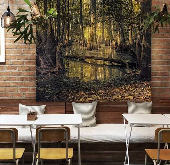 First Landing State Park Pond in Early Morning by Norma Brandsberg Photography