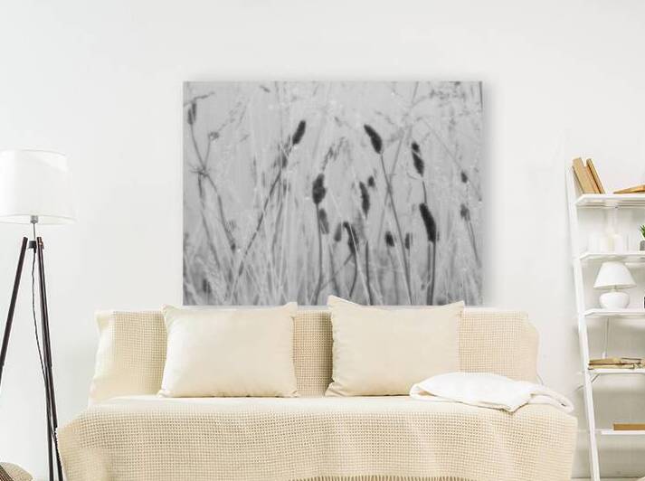 Scottish Highlands Dew-Kissed Grass by Catriona Roberts Nature Photography and Designs