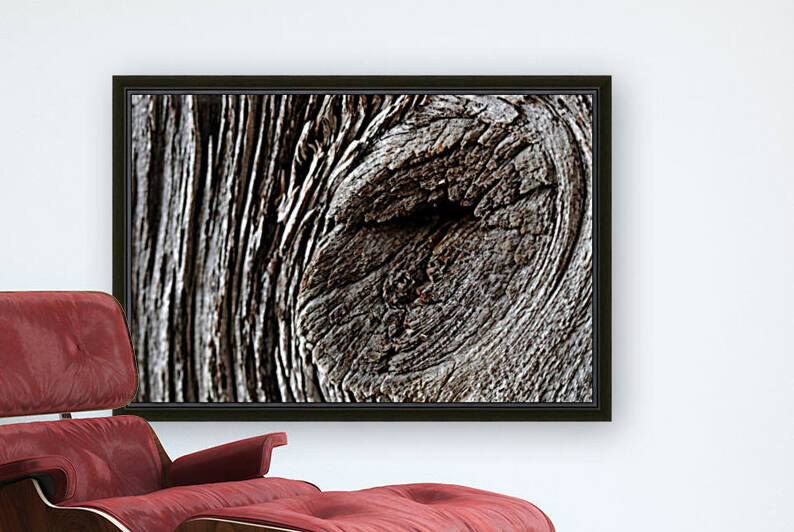 Barn Board by Deb Oppermann