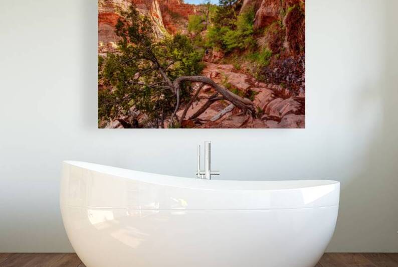 Rooted In Strength At Zion by Jennifer White