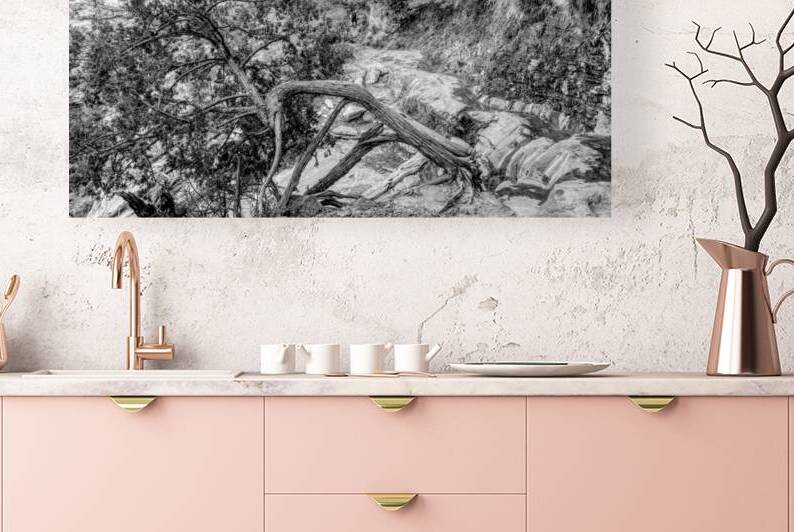 Rooted In Strength At Zion Grayscale by Jennifer White