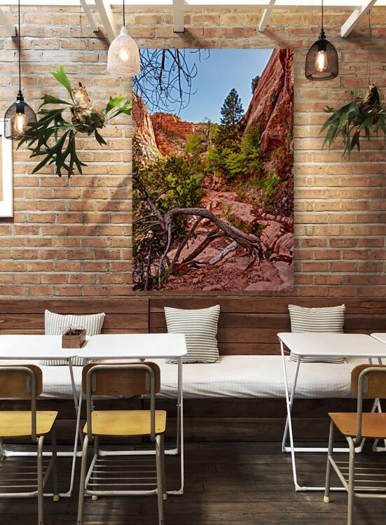 Where Roots Find Their Way by Jennifer White