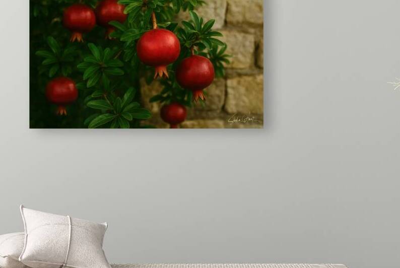 Pomegranates By a Stone Garden Wall by Shelia Hunt Photography