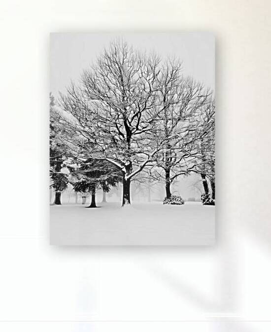 Trees are Beautiful Anytime by Thea Menagh