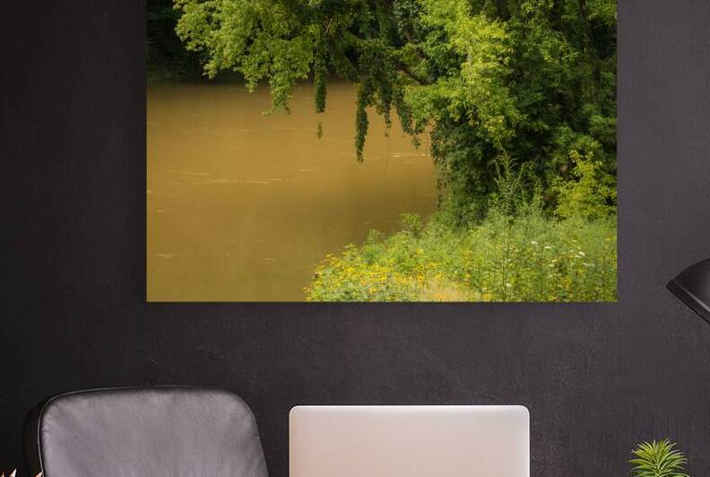Green River in Summer - Mammoth Cave National Park  - Kentucky by Gary Whitton