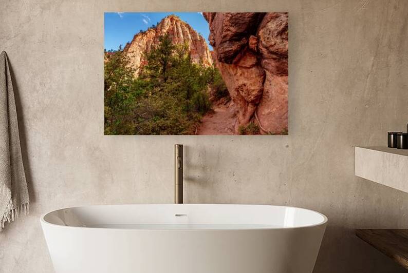 A Pathway Through Zion Red Cliffs by Jennifer White