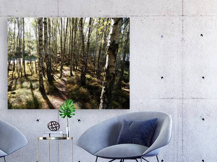 Amongst the Trees                                                                                                                   by Catriona Roberts Nature Photography and Designs