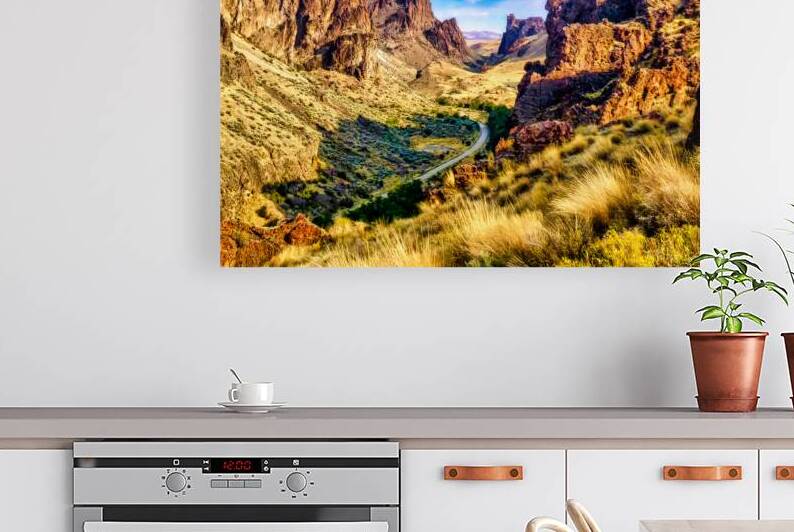 Winding Road Through Owyhee Canyonlands by Shelia Hunt Photography
