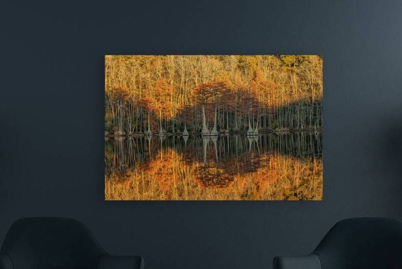 Cathedral of Embered Trees by Richard Mathis