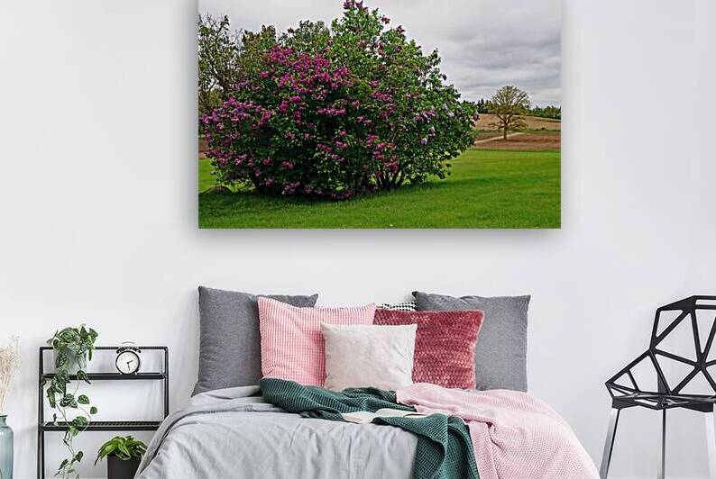 Spring  On The Farm by Deb Oppermann