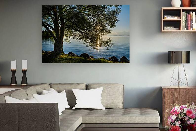 Scintillement by Guy Boudreau