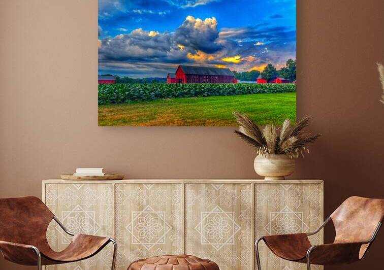 09 Summer Card by Kevin Savage