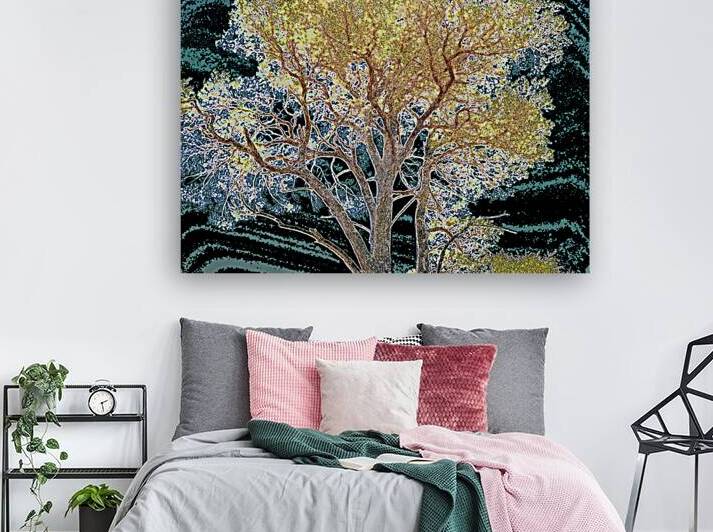  Abstract Vibrant Pine                                                                                                                     by Catriona Roberts Nature Photography and Designs