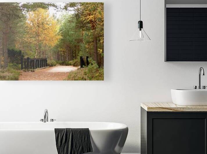 Forest Bridge through the Scottish Highlands by Catriona Roberts Nature Photography and Designs