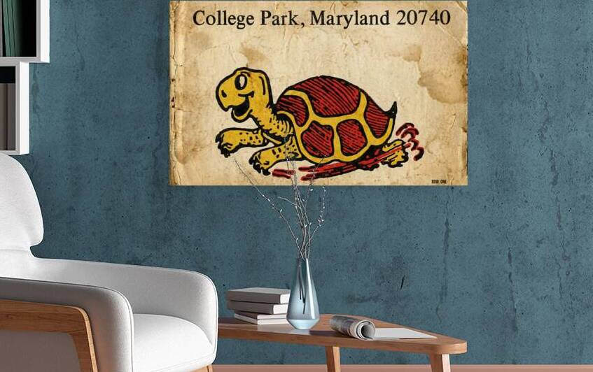 1970s Maryland Terrapin College Park 20740 by Row One Brand