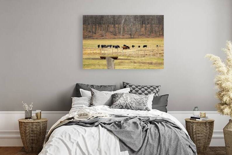 Cattle grazing in a field during autumn by GrafxOne