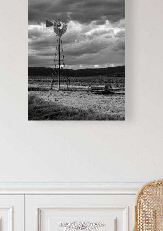 Madeline Aermotor Monochrome - Lassen County California by Mike Lee