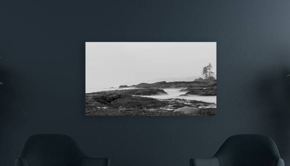 Mist Over the Tidal Rocks by Kim Hexter Photography