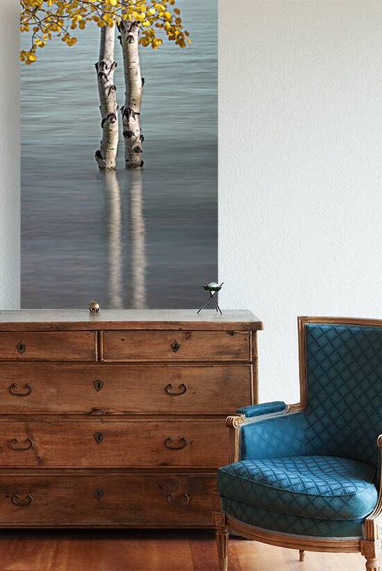 Golden Reflections by Kim Hexter Photography