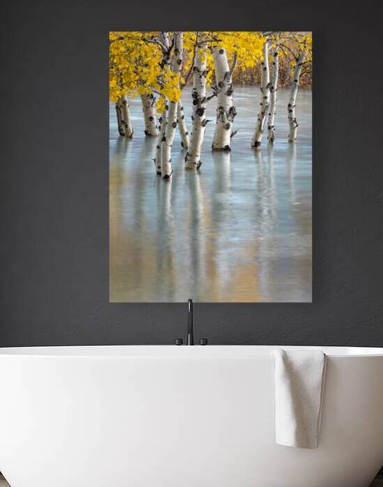 Flooded in Light by Kim Hexter Photography