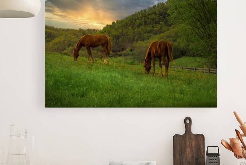 Appalachian Mountain Meadow Elegance with Horses by Shelia Hunt Photography
