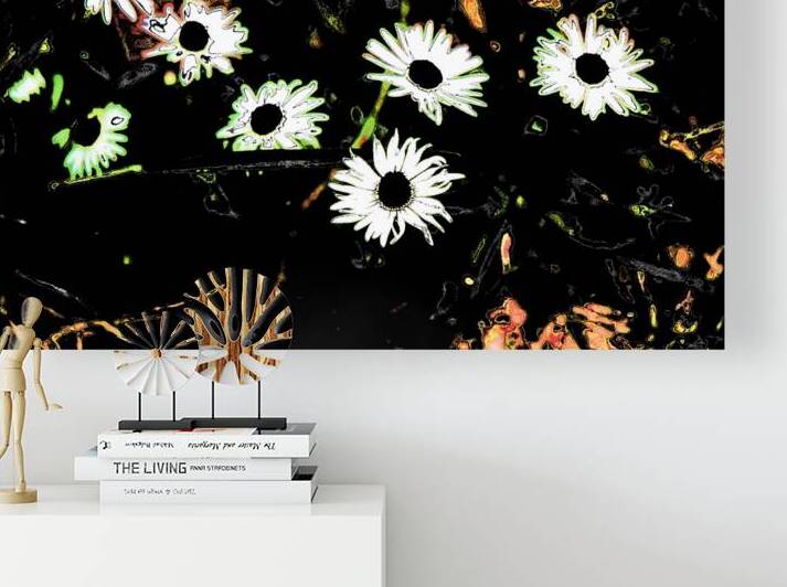 Abstract Summer Daises in the Darkness                                                                                                                      by Catriona Roberts Nature Photography and Designs