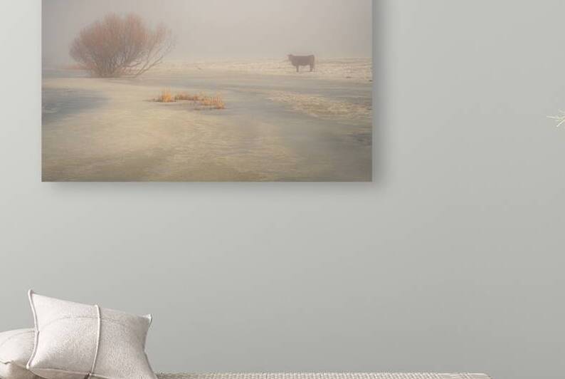 Loner in the Fog - Lassen County California by Mike Lee