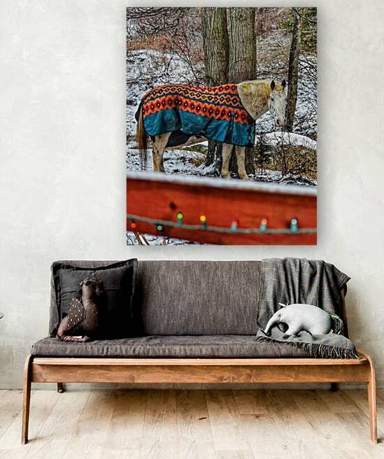 Horse in Winter by Kevin Savage