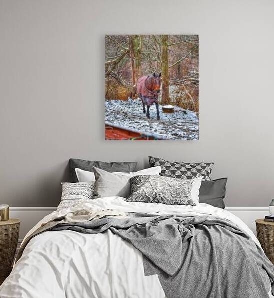 Galloping Horse by Kevin Savage