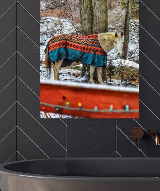 White Horse by Kevin Savage