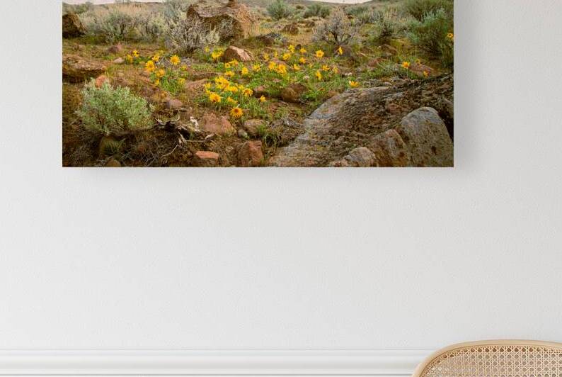 Gold in the Desert - Bald Mountain - Lassen County California by Mike Lee