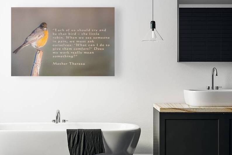 Be The Robin by Mike Lee