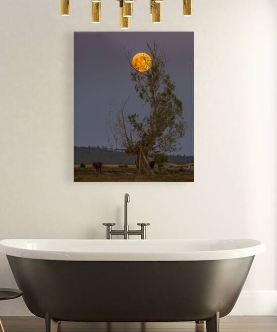 Ranch Moon - Lassen County California by Mike Lee