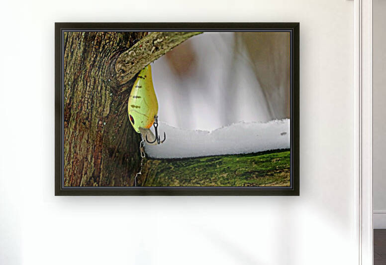 Shad Rap In A Tree by Deb Oppermann