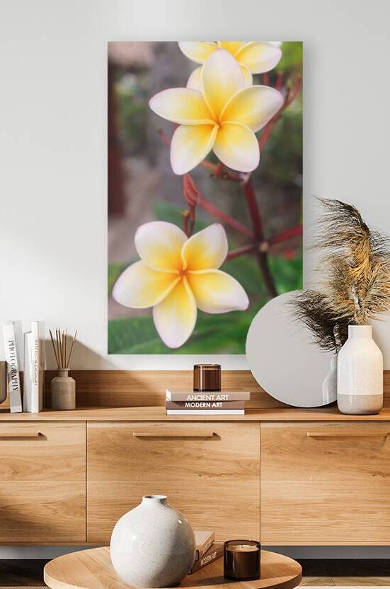 Golden Bloom Harmony - Belize by Timeless Scenery Photography