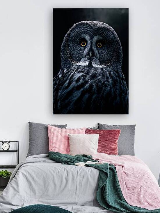 Great Grey Owl in Dramatic Lighting by madeira designs