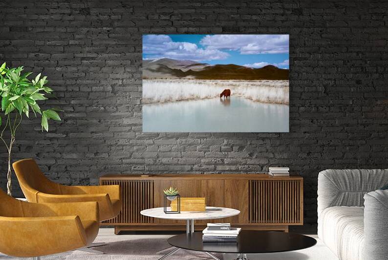 Visit to the Watering Hole Infrared - Lassen County California by Mike Lee