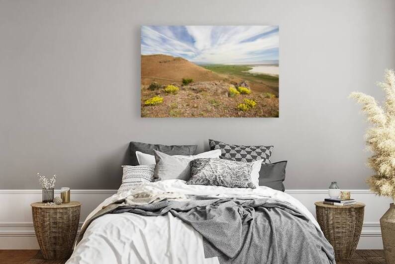 Surprise Valley Vista - Modoc County California by Mike Lee