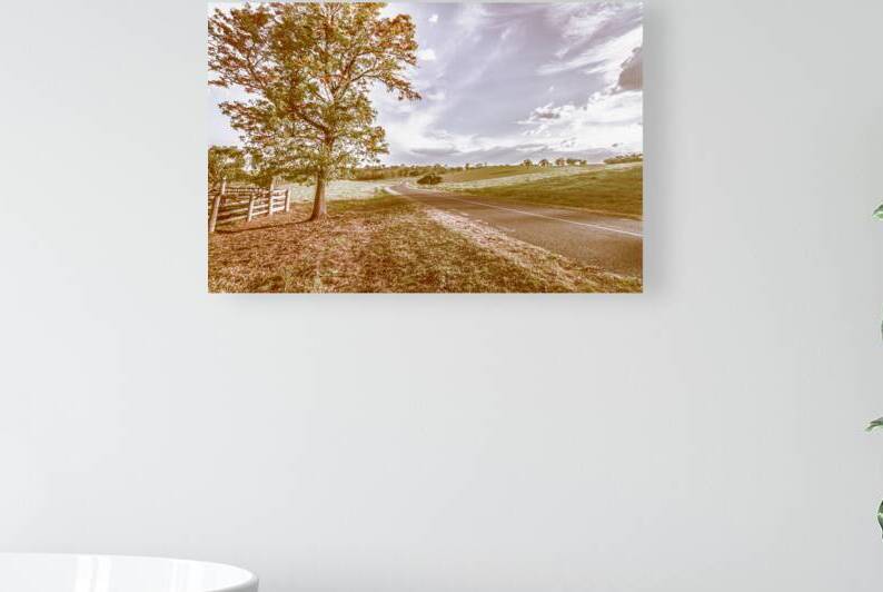 Acacia Avenue by Jorgo