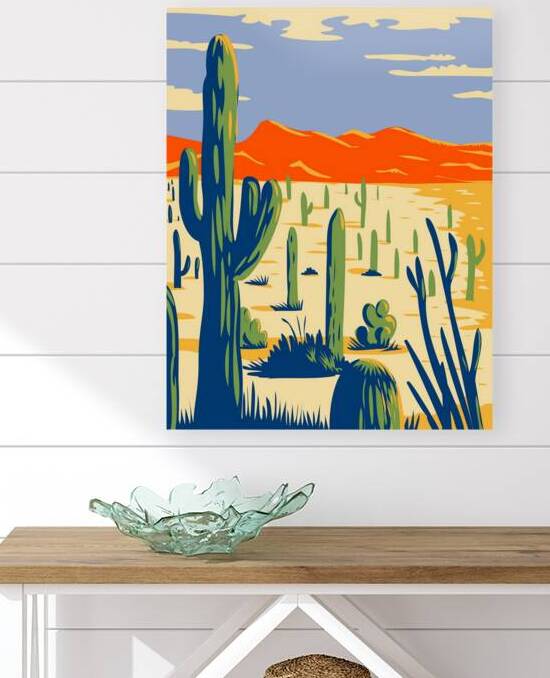 Saguaro National Park  by Towseef Dar