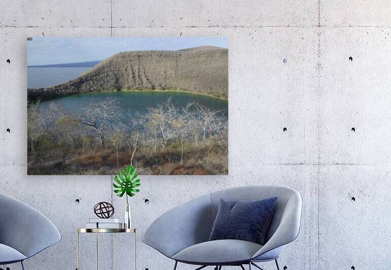 KO EC 11387 by Kevin Oke