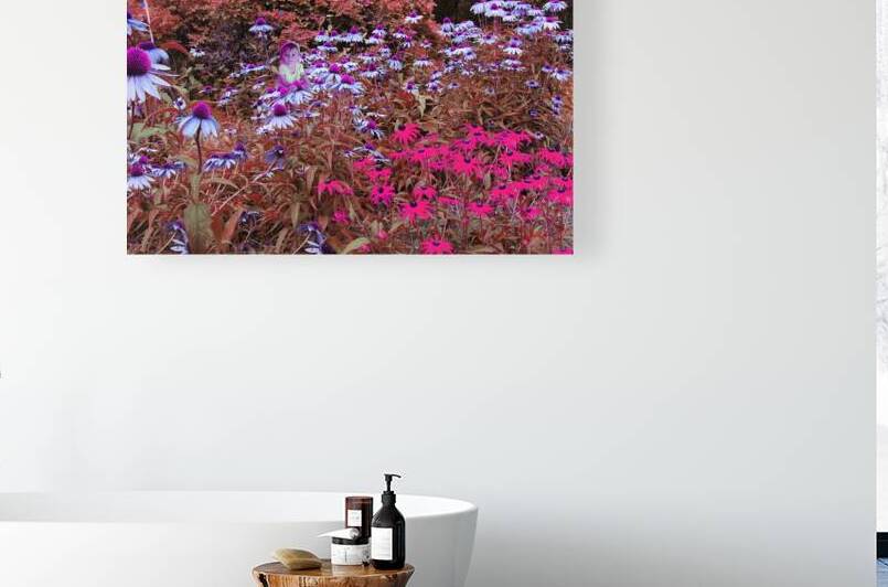 9019 - Sam au pays des merveilles by Lucie Gonella