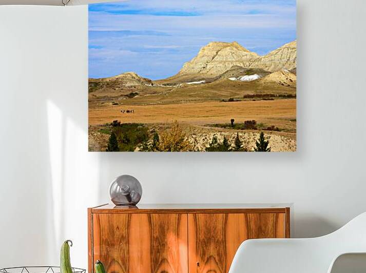 Prairie Echoes by Nicola McGuire