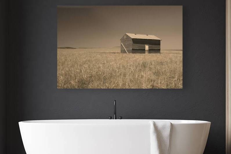 Old Barn at Choteau Montana X100 1 by Rich Franco