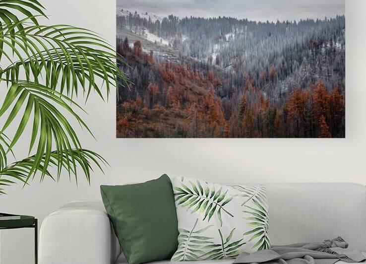 Burnt Valley – Western Art Print by Corey Rudolph