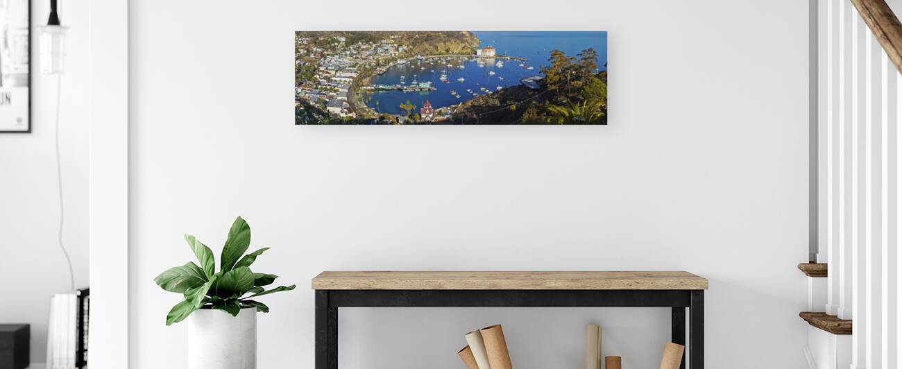 Catalina Island by Sid Webb