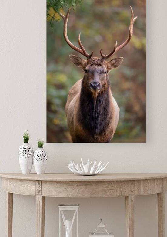 The Crowned Prince by Josh DeLeenheer