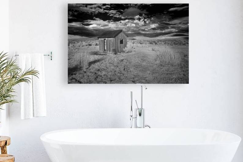 The Shack - Infrared - Smoke Creek Area - Lassen County California by Mike Lee