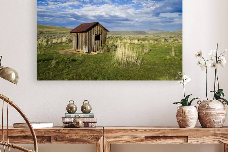 The Shack - Color - Smoke Creek Area - Lassen County California by Mike Lee